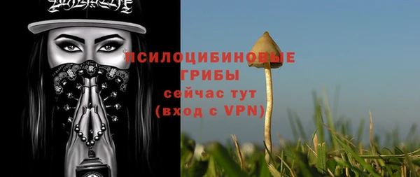 мет Каменка