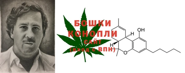 мет Каменка