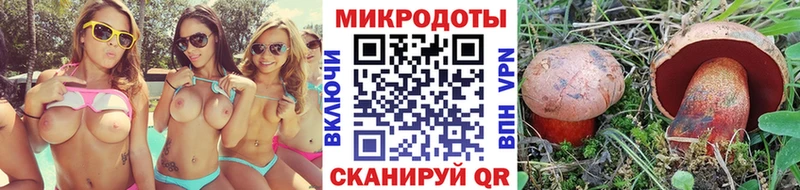 купить наркоту ссылка на мегу рабочий сайт Галлюциногенные грибы Psilocybe Сусуман